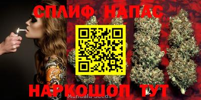 гашик Заволжье