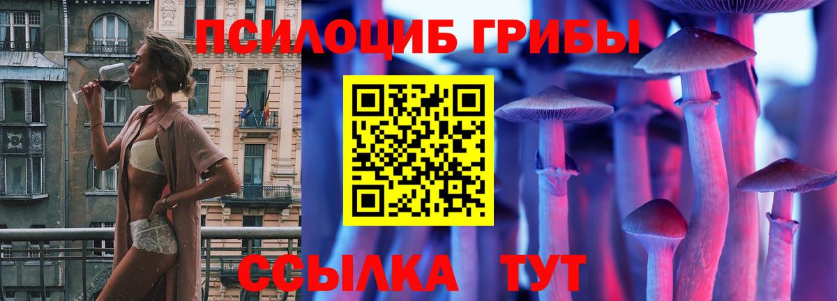 Псилоцибиновые грибы GOLDEN TEACHER Ишим