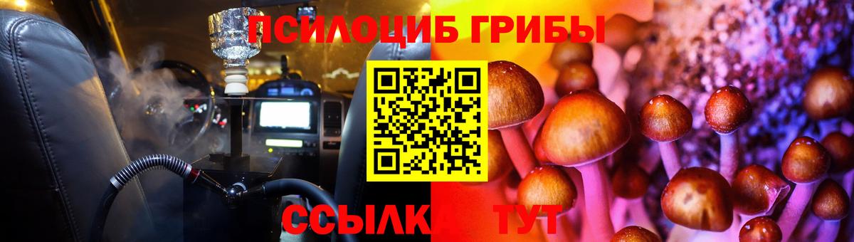 Галлюциногенные грибы Psilocybe  Вход с VPN  купить наркоту  Ишим 